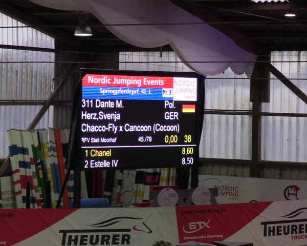 Nordic Jumping events 2019