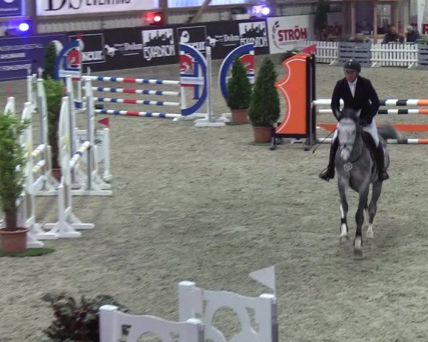 Nordic Jumping events 2019