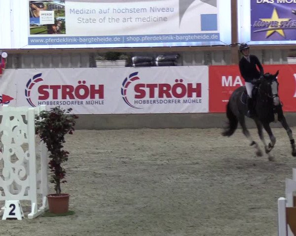 Nordic Jumping events 2019