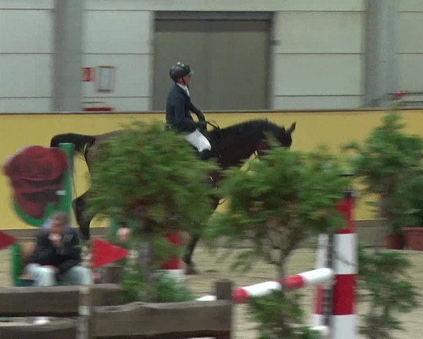 Reitturnier Prussendorf 2019