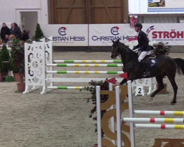 Nordic Jumping events 2019