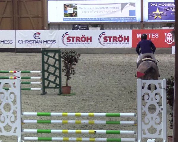Nordic Jumping events 2019