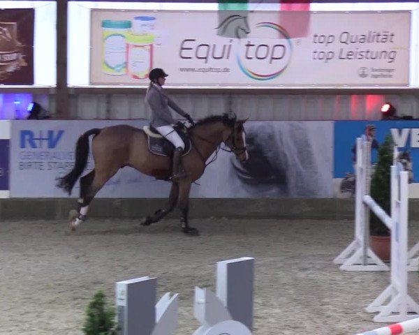 Nordic Jumping events 2019