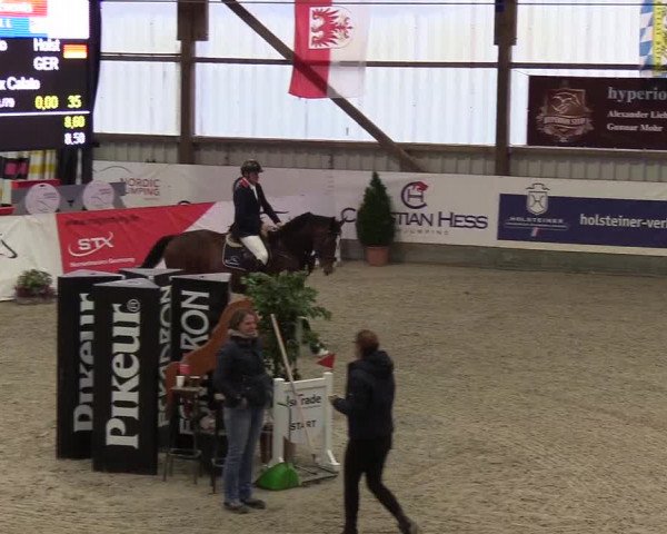 Nordic Jumping events 2019
