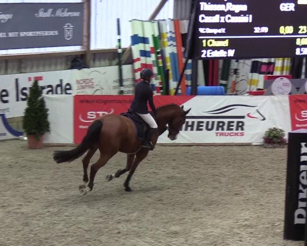 Nordic Jumping events 2019
