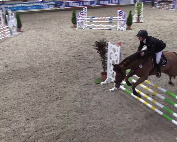 Nordic Jumping events 2019
