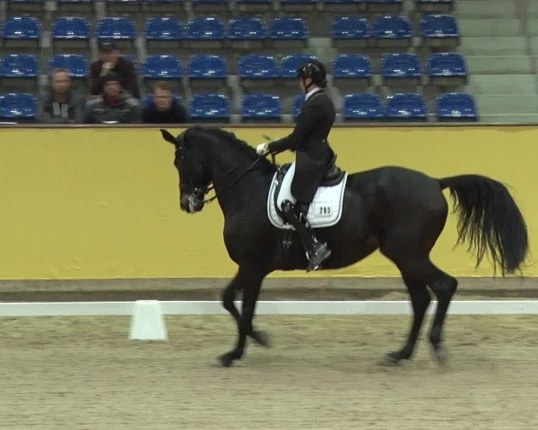 Reitturnier Prussendorf 2019