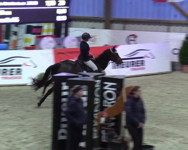 Nordic Jumping events 2019