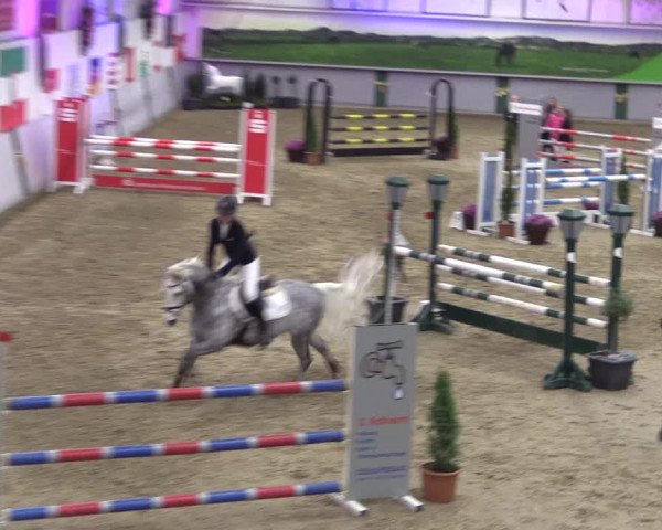 Reitturnier Legden 2019