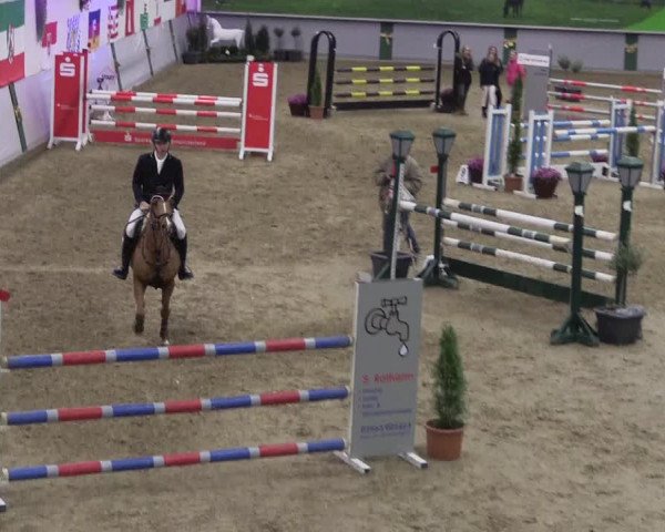 Reitturnier Legden 2019