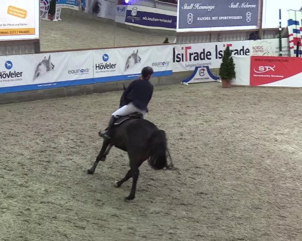 Nordic Jumping events 2019