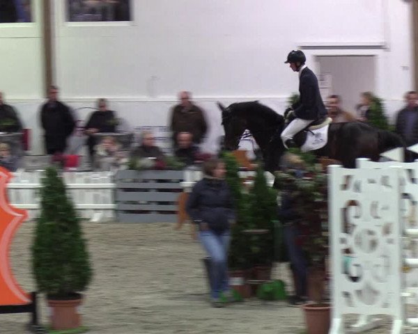 Nordic Jumping events 2019