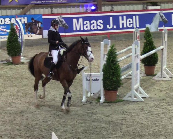 Nordic Jumping events 2019