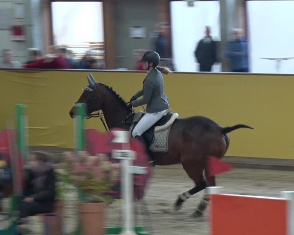 Reitturnier Prussendorf 2019
