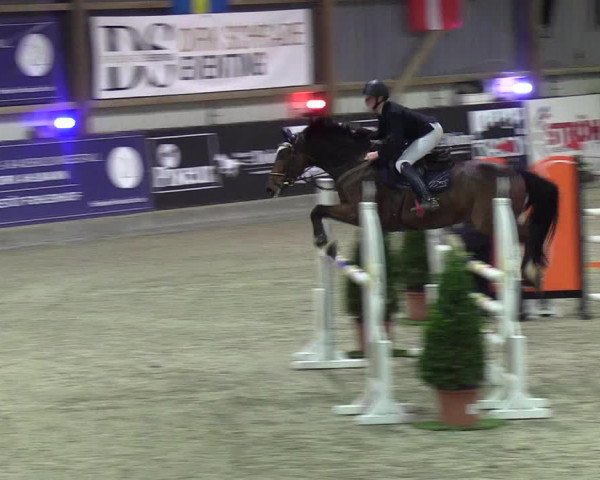 Nordic Jumping events 2019