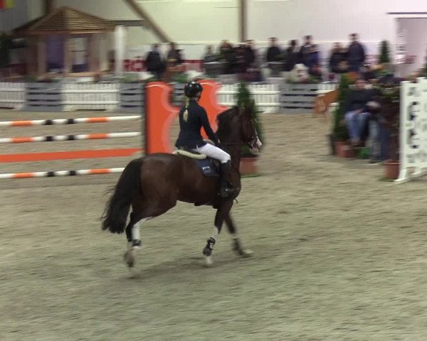 Nordic Jumping events 2019
