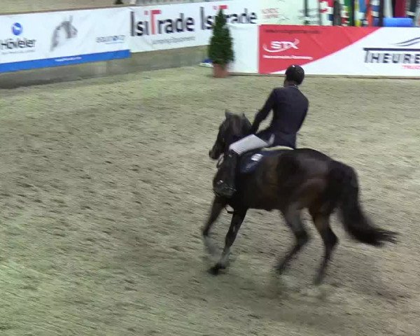 Nordic Jumping events 2019