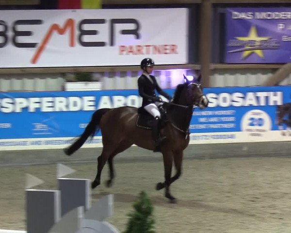 Nordic Jumping events 2019