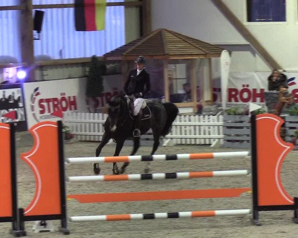 Nordic Jumping events 2019