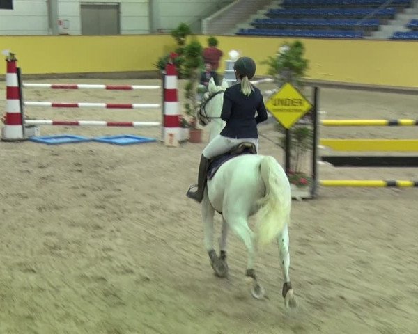 Reitturnier Prussendorf 2019