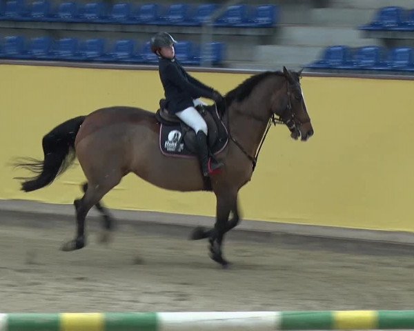 Reitturnier Prussendorf 2019