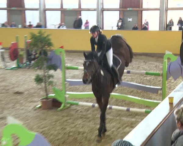 Reitturnier Prussendorf 2019