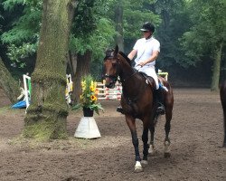 jumper For Power (Hanoverian, 2008, from For Edition)