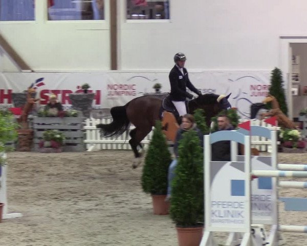 Nordic Jumping events 2019