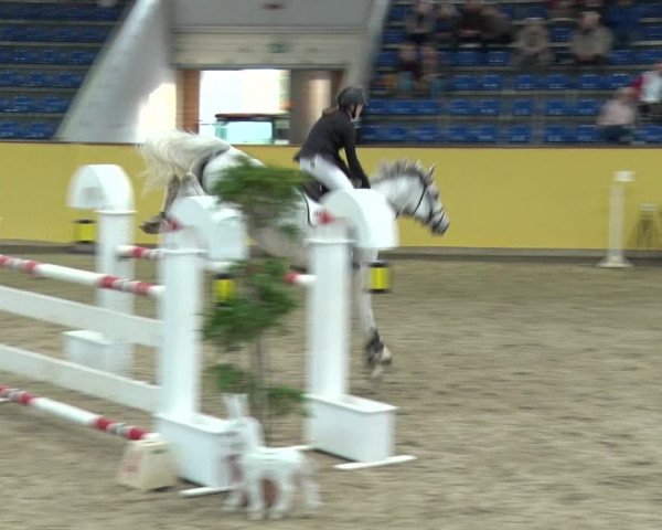 Reitturnier Prussendorf 2019