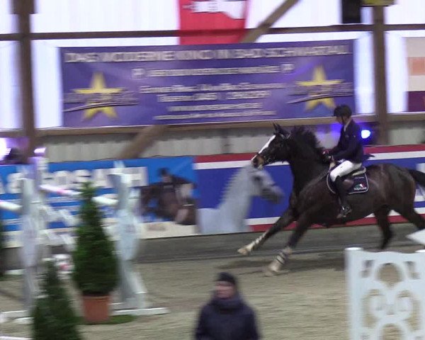 Nordic Jumping events 2019