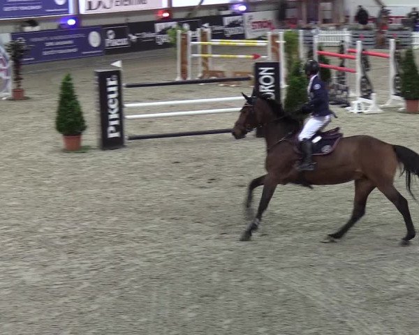 Nordic Jumping events 2019
