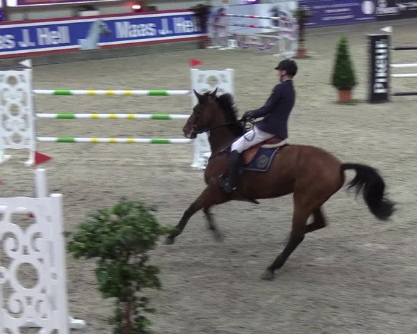 Nordic Jumping events 2019
