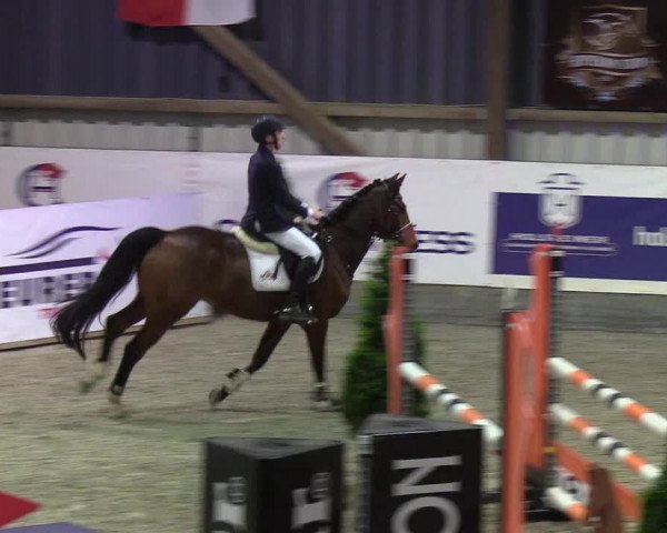 Nordic Jumping events 2019