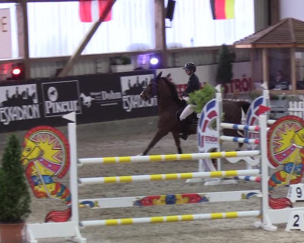 Nordic Jumping events 2019