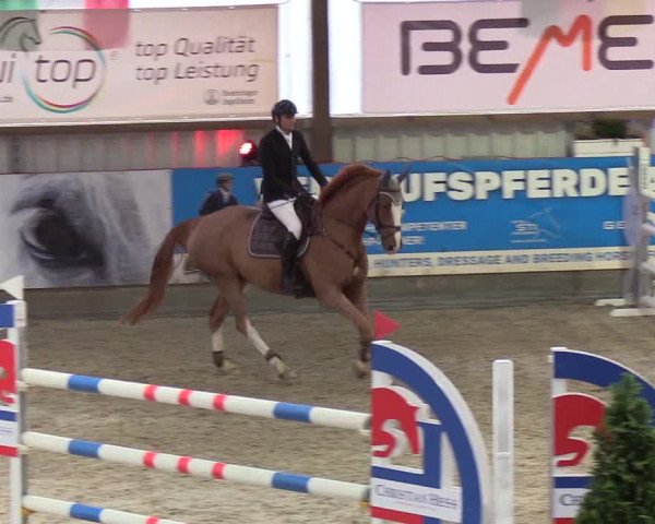Nordic Jumping events 2019
