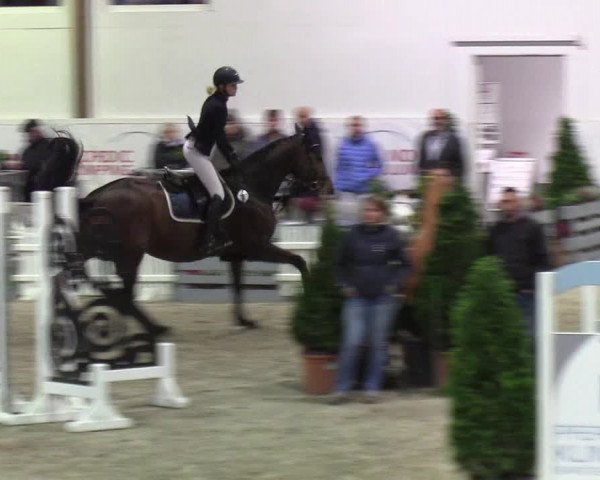 Nordic Jumping events 2019