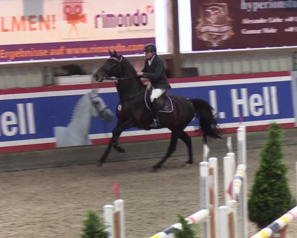 Nordic Jumping events 2019