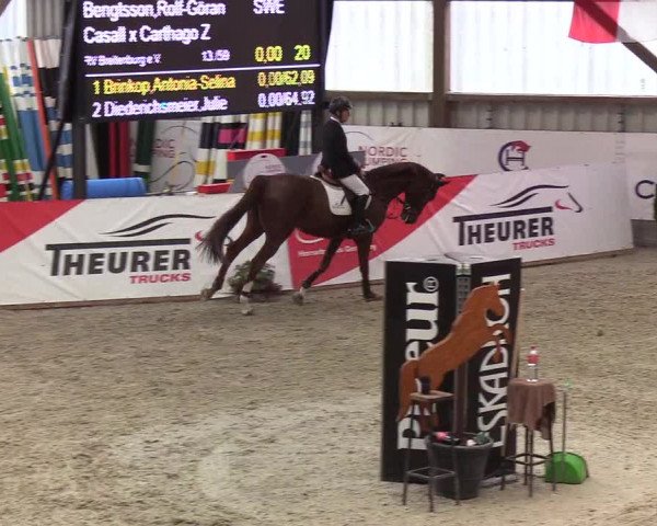 Nordic Jumping events 2019