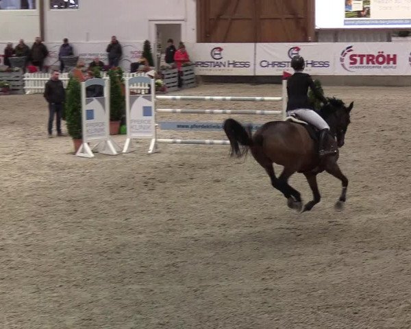Nordic Jumping events 2019