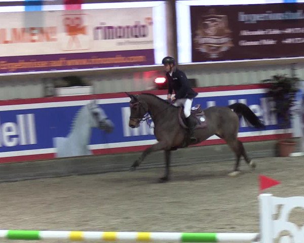 Nordic Jumping events 2019