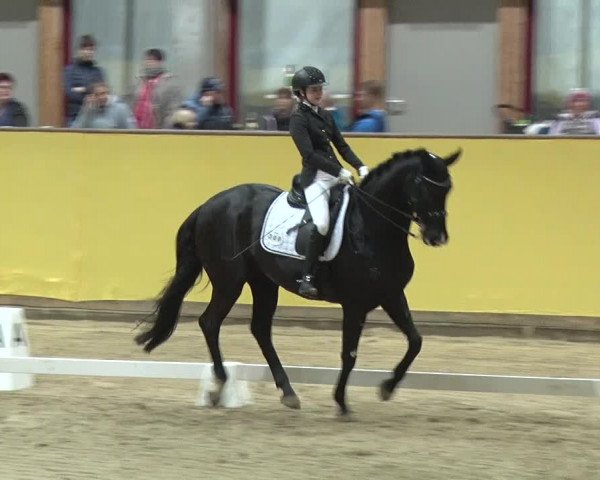 Reitturnier Prussendorf 2019