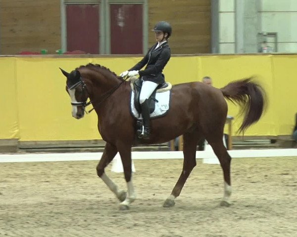Reitturnier Prussendorf 2019