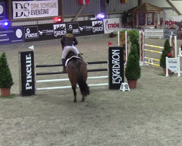 Nordic Jumping events 2019
