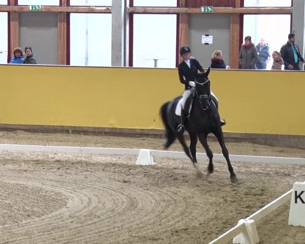 Reitturnier Prussendorf 2019