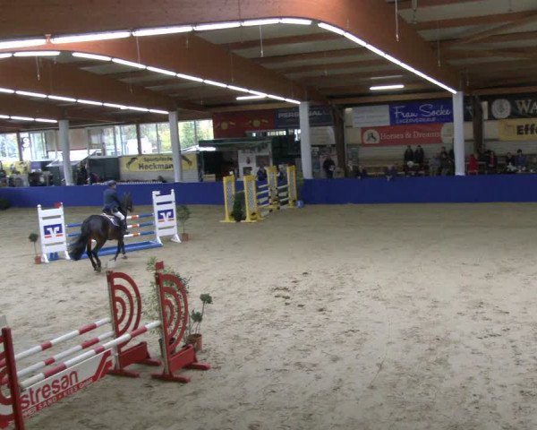 Reitturnier Isterberg 2019