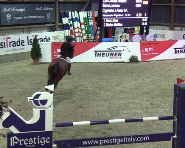 Nordic Jumping events 2019