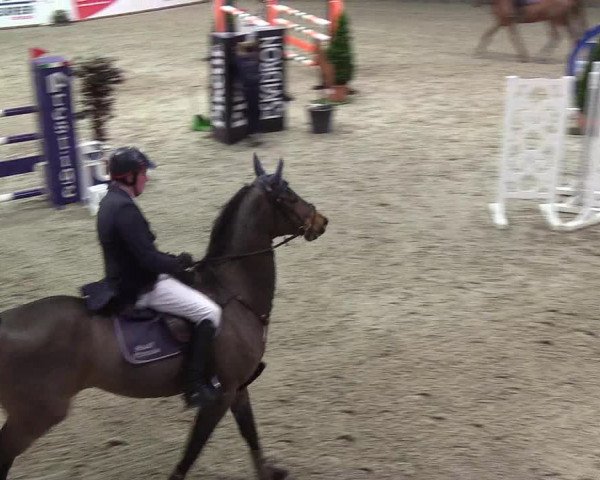 Nordic Jumping events 2019