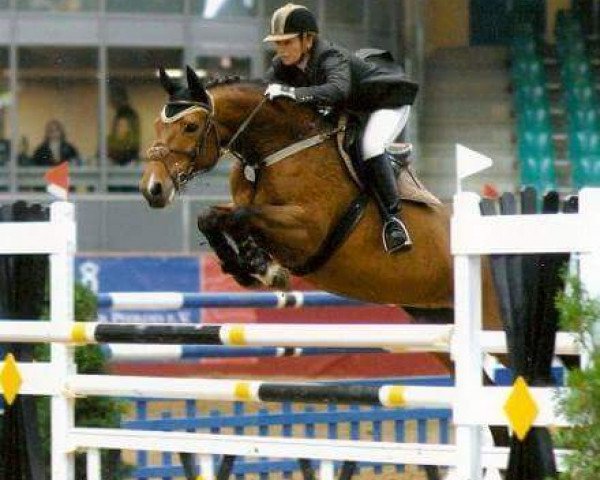 horse Sexy Hexi (Hanoverian, 1994, from Sherlock Holmes)