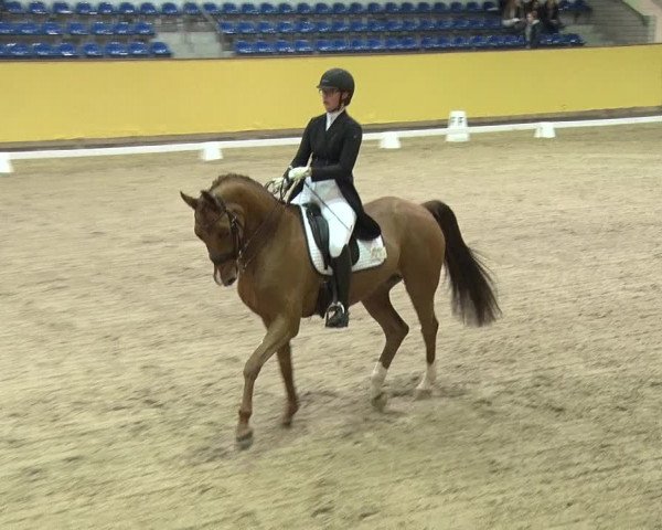 Reitturnier Prussendorf 2019