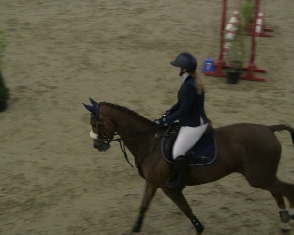 Reitturnier Isterberg 2019